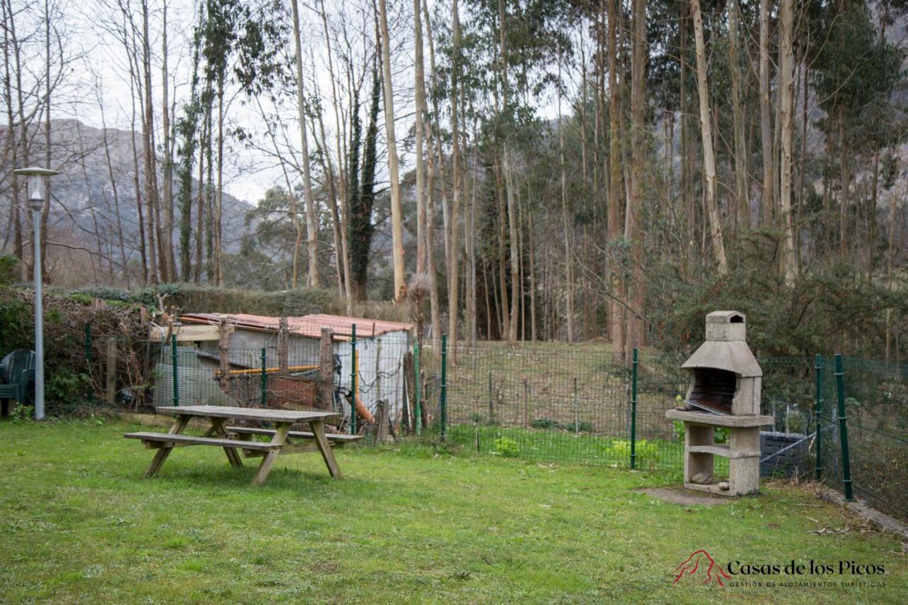 Apartamento El Soplao - Casas De Los Picos Celis ภายนอก รูปภาพ